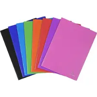Exacompta 10x OPAK showalbum PP 5/10e - heldere tassen - 40 tassen - 80 zichten - A4 - Geassorteerd - 8840E