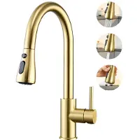 CECIPA MAX Keukenkraan met Uittrekbare Uitloop - Goud Keukenkraan - Mengkraan Keuken - Keuken Kraan Met 3 straalsoorten - RVS