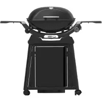 Weber Q2200N met Onderstel