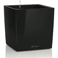 Lechuza CUBE Premium 50 - Plantenbak - met uitneembare binnenbak - met bewateringssysteem - ALL-IN-ONE set met LECHUZA-PON - zwart hoogglans