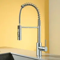 CECIPA MAX Keukenkraan met Uittrekbare Uitloop - Chroom Keukenkraan - Mengkraan Keuken - 2 straalstanden - RVS