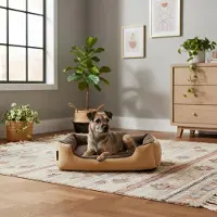 Belviona hondenbed met een zacht, omkeerbaar kussen, gemakkelijk schoon te maken en antislip, een comfortabele slaapplek, 60x48 cm, beige/bruin