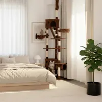Belviona XXL kraboom met plafondbevestiging, voor perfect speelplezier en nagelverzorging, 230-250 cm hoog, bruin