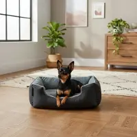 Belviona hondenbed met een zacht, omkeerbaar kussen, gemakkelijk schoon te maken en antislip, een comfortabele slaapplek, 50x37 cm, zwart/grijs