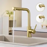 CECIPA MAX Keuken kraan - Keukenkraan Met Uittrekbare Uitloop met 2 straalsoorten - Spoelkraan 360° draaibaar Mengkraan keuken - Goud