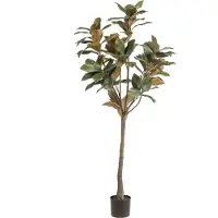Emerald Magnoliaboom h150cm groen