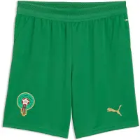 Puma Sportbroek 'Marokko' grasgroen