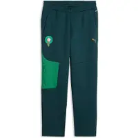 Puma Sportbroek 'Marokko' groen / donkergroen
