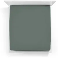 Bella Donna Hoeslaken Jersey Lits-jumeaux XL vintage groen - 0634 200/220-200/240