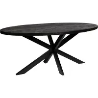 Zita Home eettafel, 190 cm, ovaal, massief hout - zwart - met metalen onderstel