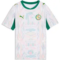 Puma Functioneel shirt 'Senegal 2026' geel / groen / rood / wit