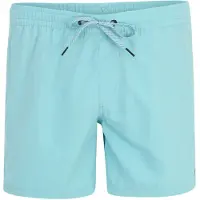 Quiksilver Zwemshorts 'SOLID 15' turquoise