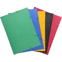 Exacompta 10x Elastomap met 3 kleppen in glanskarton 600gm2 - A3 - Geassorteerd - 59500E