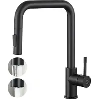 CECIPA MAX Keukenkraan Met Uittrekbare Uitloop - Handdouche - 2 straalsoorten- -360° Draaibaar - RVS- Flexibele Slang - Zwart