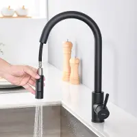 CECIPA MAX Lonheo max keukenkraan met uittrekbare uitloop - Keukenmengkraan - Handdouche - Mengkraan - 2 straalsoorten - zwart