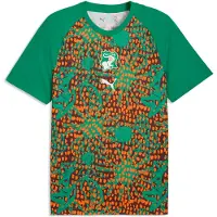 Puma Tricot 'Elfenbeinküste' donkerbruin / groen / oranje / wit
