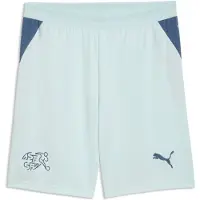 Puma Sportbroek 'Schweiz 2026' navy / lichtblauw