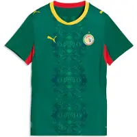 Puma Tricot 'Senegal 2026' geel / donkergroen / rood