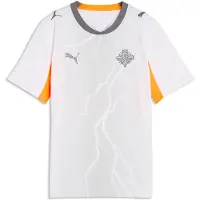 Puma Functioneel shirt antraciet / oranje / wit