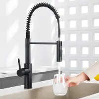 CECIPA MAX Keukenkraan Met Uittrekbare Uitloop - keukenkranen zwart - Handdouche - Flexibele Slang – Keukenmengkraan - Zwart