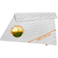 Sleepling 196355 Nature dekbed, wildzijden deken, zomerdekbed, zijden deken met 100% wilde zijde, overtrek 100% katoen, Made in EU, Ökotex, wasbaar op 40 graden, 200 x 220 cm, wit