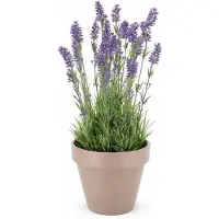 Daan Kromhout SILK LAVENDER PURPLE POT TERRA L 32X32X53CM