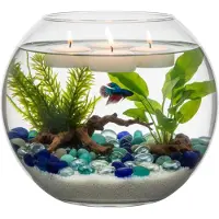Hakbijl Glass Hakbijl glas bol vaas/terrarium - D30 x H23 cm - transparant glas - Vazen
