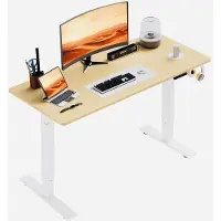 HOMAVO Zit-sta bureau 110 x 60 cm - Elektrisch in hoogte verstelbaar 70-117 cm - Anti-botsingstechnologie