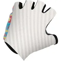 Q36.5 Dottore Clima Korte Handschoenen