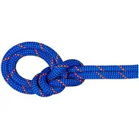 Mammut - 9.5 Crag Dry Rope - Enkeltouw 60 m, blauw