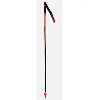 Rossignol Hero Gs-sg Stokken