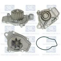 Saleri SIL PA681P Waterpomp