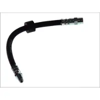 Delphi Remslang LH6101