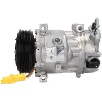 Delphi TSP0155474 Aircopomp