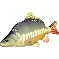 Gaby The Carp Medium Pillow Groen