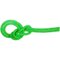 Mammut - 9.5 Crag Dry Rope - Enkeltouw 80 m, groen