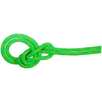 Mammut - 9.5 Crag Dry Rope - Enkeltouw 60 m, groen