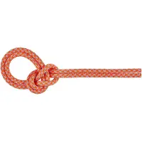 Mammut - 8.7 Crag Sender Dry Rope - Enkeltouw 50 m, roze