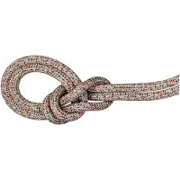 Mammut - 8.0 Alpine Core Protect Dry Rope - Halftouw 30 m, grijs