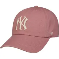 47 Brand Yankees Ballpark Clean Up Pet by