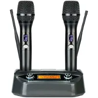INF Dubbele professionele draadloze microfoon met vaste ontvanger Black