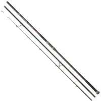 Daiwa Emblem Type R Kw Surfcasting Rod Zilver 4.20 m / 100-225 g