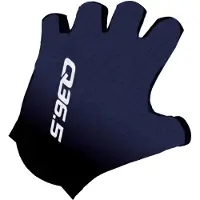Q36.5 Pinarello Pro Cycling Team 2026 Korte Handschoenen