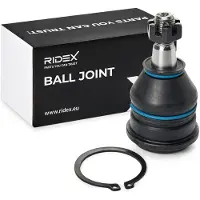 RIDEX 2462S0639 Fuseekogel