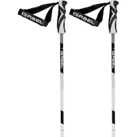 Gabel Carbon Le Chic Stokken