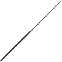 Captain James Sea Master Trolling Rod Zilver 1.83 m / 30-60 Lbs