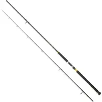 Daiwa Legalis Shore Jigging Rod Zilver 2.74 m / 28-84 g