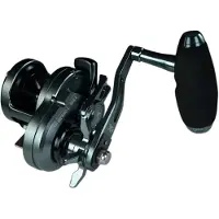 Xzoga Rogue X Rx Sw Jigging Reel Zilver 15HG