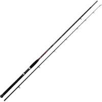 Nomura Ronin Shore Jigging Rod Zilver 2.90 m / 90-100 g