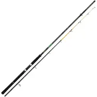 Fishing Ferrari Gator Power Game Jigging Rod Zilver 2.10 m / 250 g